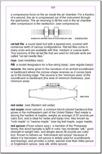 Load image into Gallery viewer, lutherie terms
